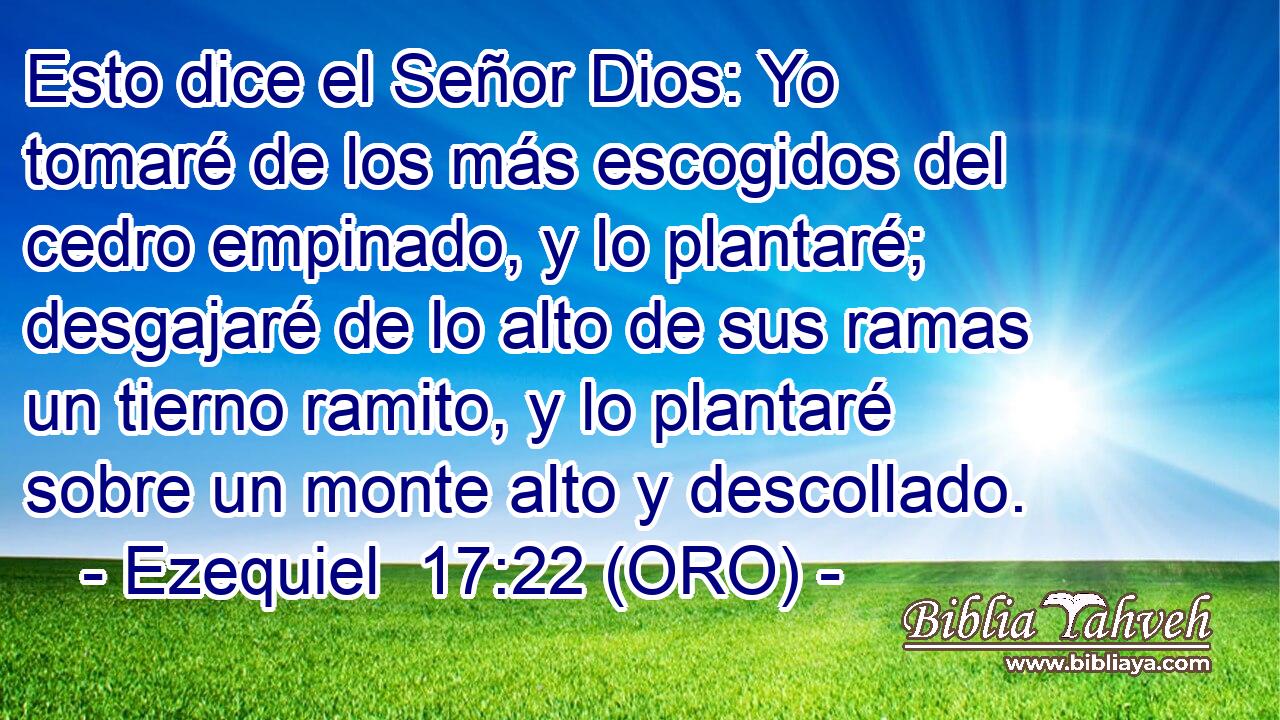  Esto dice el Señor Dios: Yo tomaré de los más escogidos del cedro empinado, y lo plantaré; desgajaré de lo alto de sus ramas un tierno ramito, y lo plantaré sobre un monte alto y descollado. 