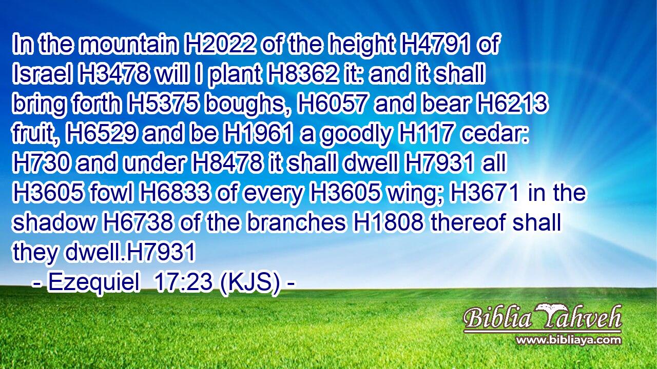 In the mountain H2022 of the height H4791 of Israel H3478 will I plant H8362 it: and it shall bring forth H5375 boughs, H6057 and bear H6213 fruit, H6529 and be H1961 a goodly H117 cedar: H730 and under H8478 it shall dwell H7931 all H3605 fowl H6833 of every H3605 wing; H3671 in the shadow H6738 of the branches H1808 thereof shall they dwell.H7931