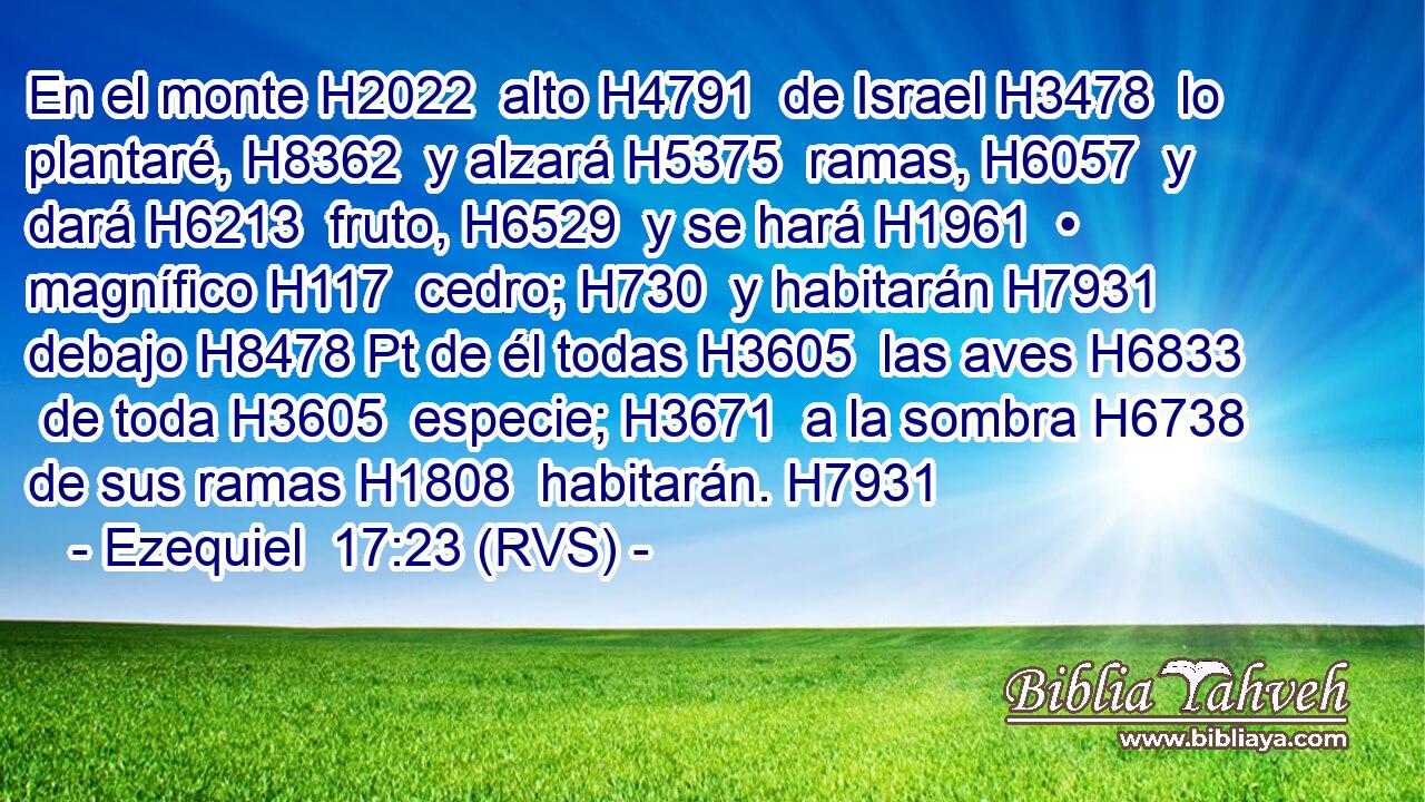 En el monte H2022  alto H4791  de Israel H3478  lo plantaré, H8362  y alzará H5375  ramas, H6057  y dará H6213  fruto, H6529  y se hará H1961  • magnífico H117  cedro; H730  y habitarán H7931  debajo H8478 Pt de él todas H3605  las aves H6833  de toda H3605  especie; H3671  a la sombra H6738  de sus ramas H1808  habitarán. H7931  