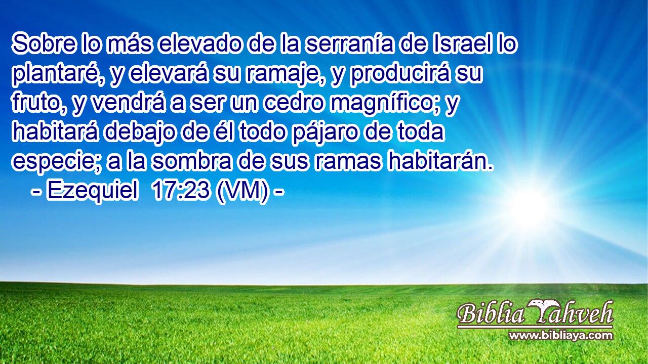  Sobre lo más elevado de la serranía de Israel lo plantaré, y elevará su ramaje, y producirá su fruto, y vendrá a ser un cedro magnífico; y habitará debajo de él todo pájaro de toda especie; a la sombra de sus ramas habitarán. 