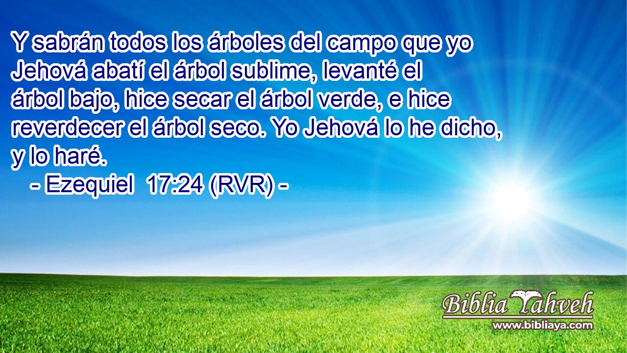 Y sabrán todos los árboles del campo que yo Jehová abatí el árbol sublime, levanté el árbol bajo, hice secar el árbol verde, e hice reverdecer el árbol seco. Yo Jehová lo he dicho, y lo haré.