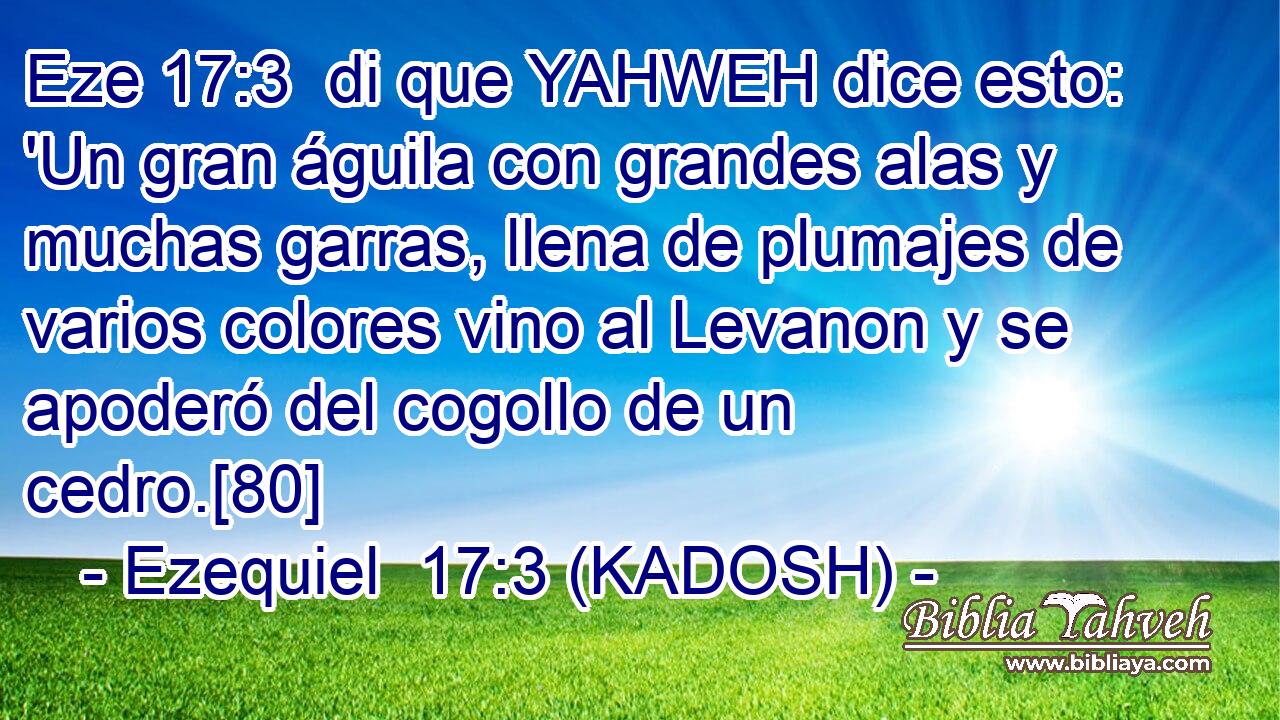  di que YAHWEH dice esto: 'Un gran águila con grandes alas y muchas garras, llena de plumajes de varios colores vino al Levanon y se apoderó del cogollo de un cedro.[80] 