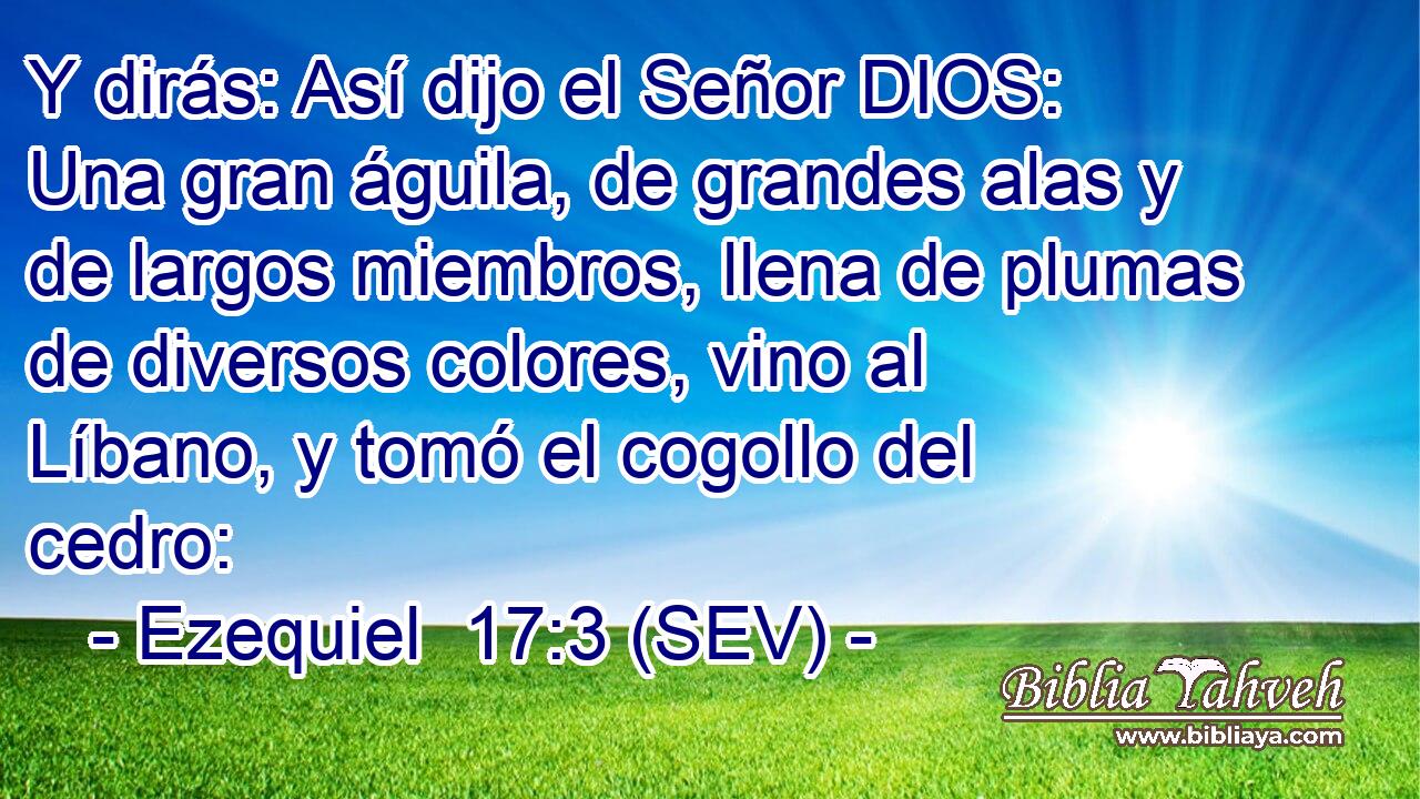 Y dirás: Así dijo el Señor DIOS: Una gran águila, de grandes alas y de largos miembros, llena de plumas de diversos colores, vino al Líbano, y tomó el cogollo del cedro: