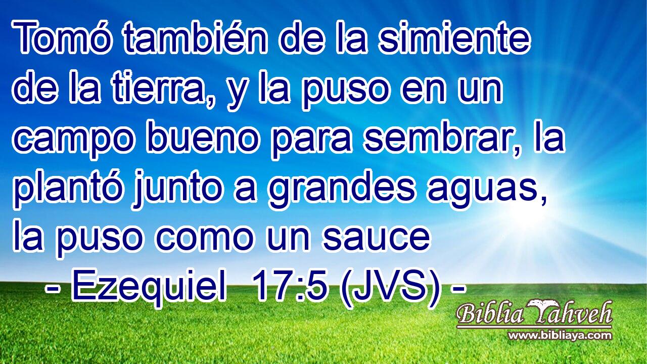 Tomó también de la simiente de la tierra, y la puso en un campo bueno para sembrar, la plantó junto a grandes aguas, la puso como un sauce