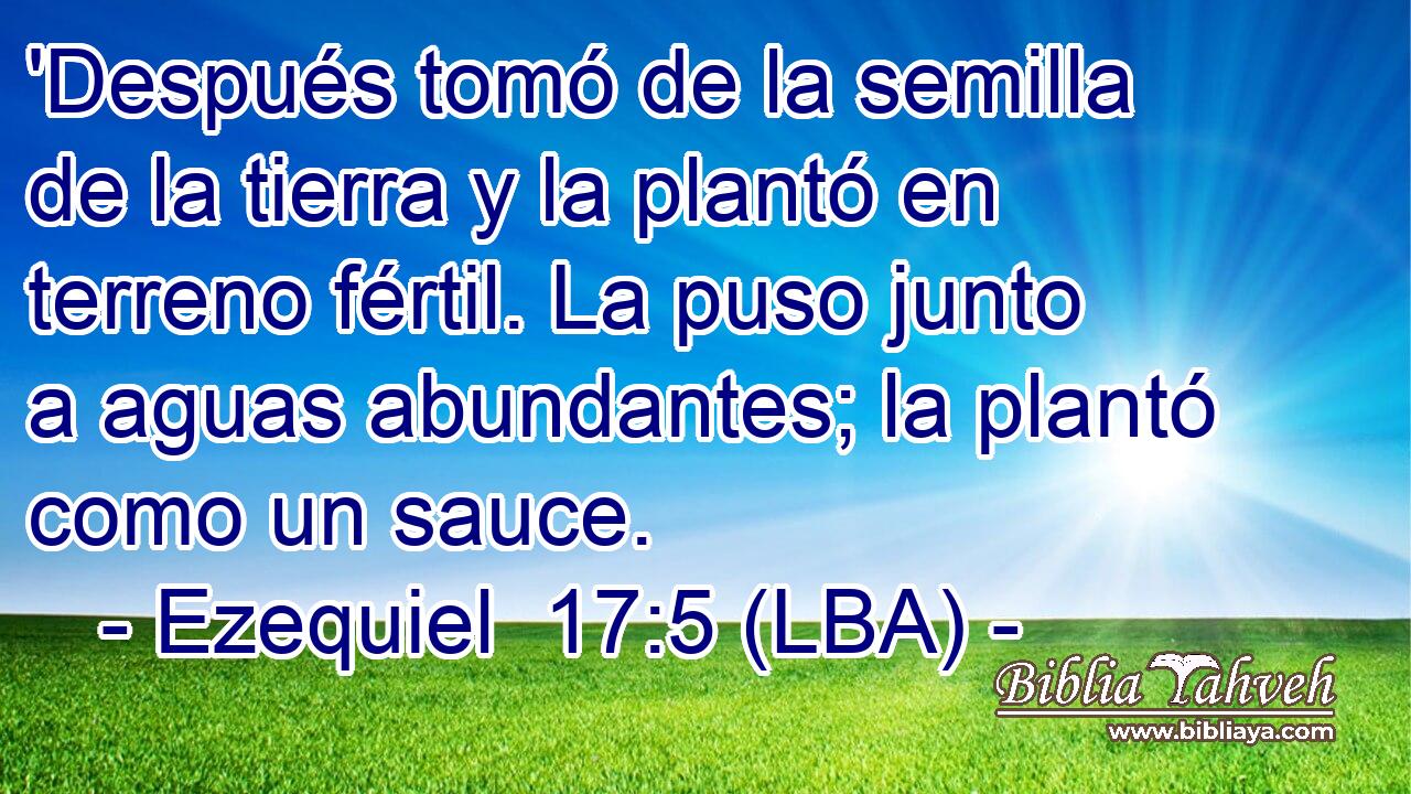 'Después tomó de la semilla de la tierra y la plantó en terreno fértil. La puso junto a aguas abundantes; la plantó como un sauce.