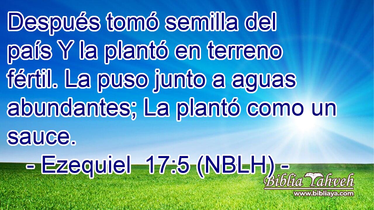  Después tomó semilla del país Y la plantó en terreno fértil. La puso junto a aguas abundantes; La plantó como un sauce. 