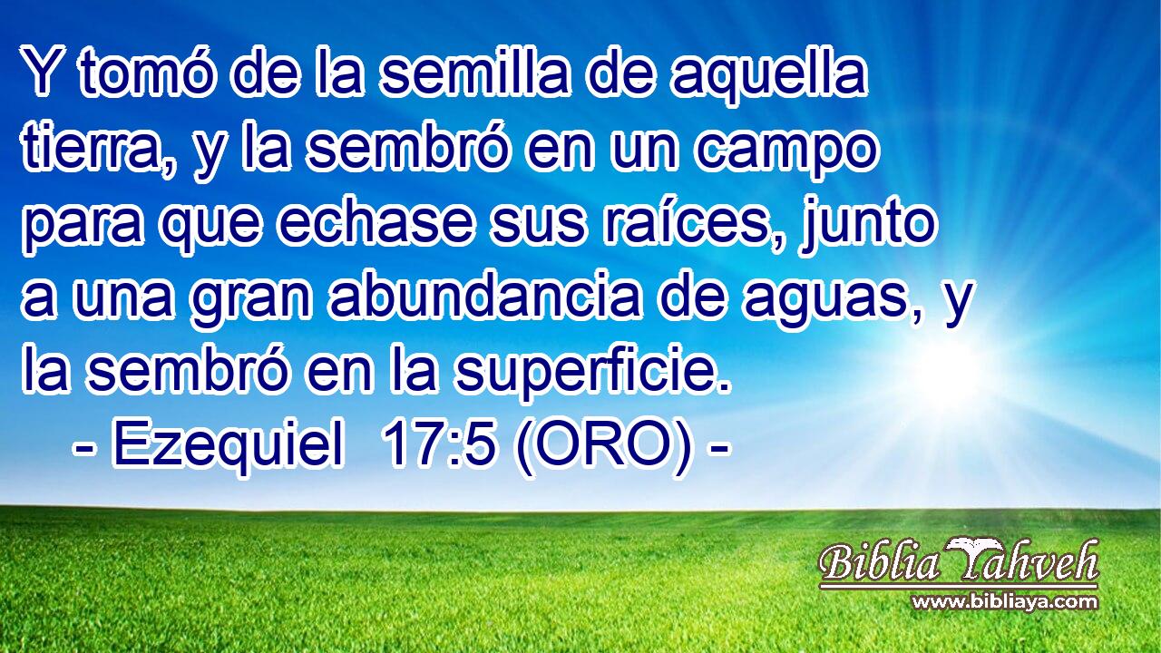  Y tomó de la semilla de aquella tierra, y la sembró en un campo para que echase sus raíces, junto a una gran abundancia de aguas, y la sembró en la superficie. 