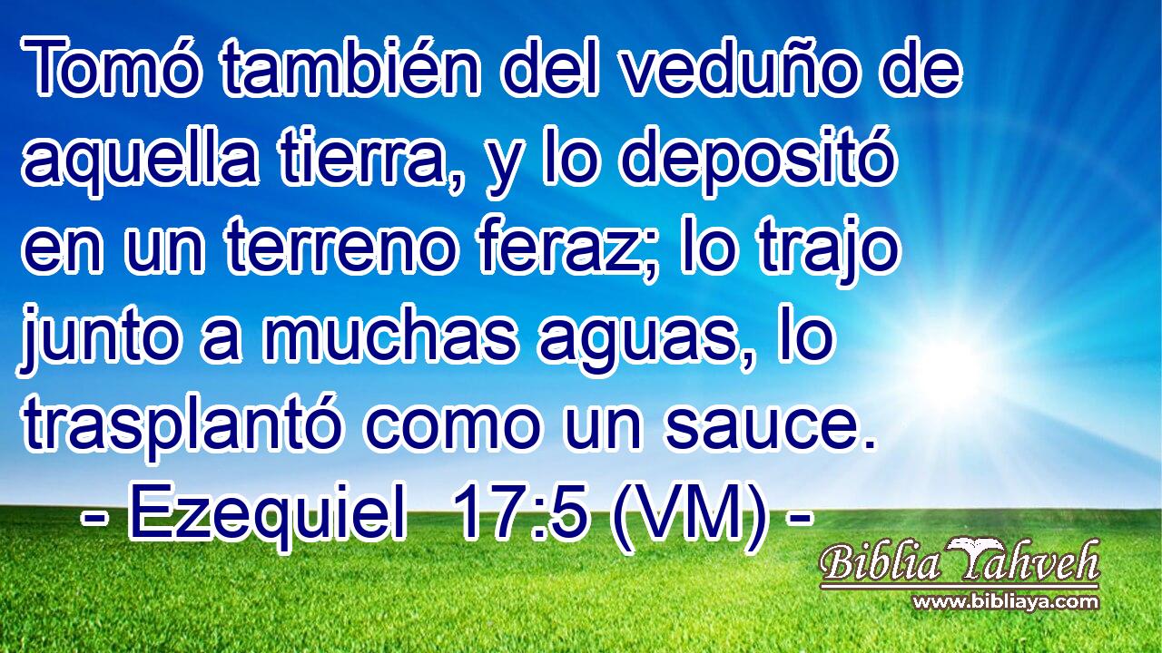  Tomó también del veduño de aquella tierra, y lo depositó en un terreno feraz; lo trajo junto a muchas aguas, lo trasplantó como un sauce. 