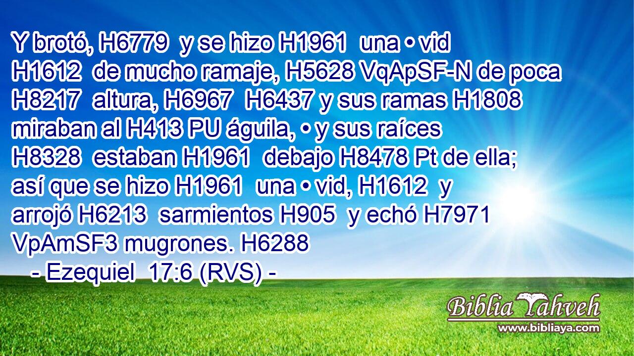 Y brotó, H6779  y se hizo H1961  una • vid H1612  de mucho ramaje, H5628 VqApSF-N de poca H8217  altura, H6967  H6437 y sus ramas H1808  miraban al H413 PU águila, • y sus raíces H8328  estaban H1961  debajo H8478 Pt de ella; así que se hizo H1961  una • vid, H1612  y arrojó H6213  sarmientos H905  y echó H7971 VpAmSF3 mugrones. H6288  