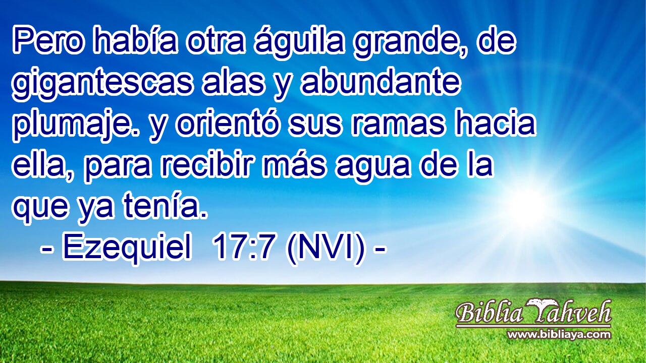  Pero había otra águila grande, de gigantescas alas y abundante plumaje. y orientó sus ramas hacia ella, para recibir más agua de la que ya tenía. 