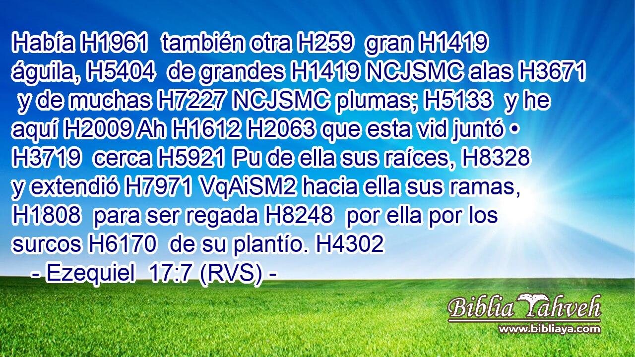 Había H1961  también otra H259  gran H1419  águila, H5404  de grandes H1419 NCJSMC alas H3671  y de muchas H7227 NCJSMC plumas; H5133  y he aquí H2009 Ah H1612 H2063 que esta vid juntó • H3719  cerca H5921 Pu de ella sus raíces, H8328  y extendió H7971 VqAiSM2 hacia ella sus ramas, H1808  para ser regada H8248  por ella por los surcos H6170  de su plantío. H4302  