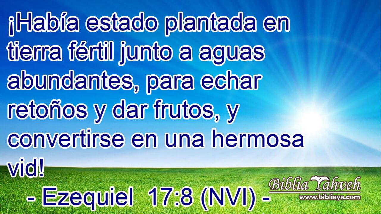  ¡Había estado plantada en tierra fértil junto a aguas abundantes, para echar retoños y dar frutos, y convertirse en una hermosa vid! 