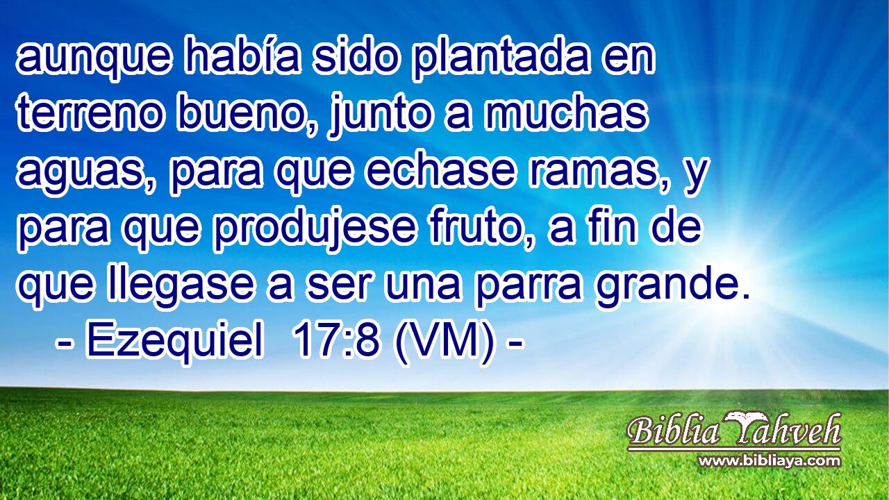  aunque había sido plantada en terreno bueno, junto a muchas aguas, para que echase ramas, y para que produjese fruto, a fin de que llegase a ser una parra grande. 