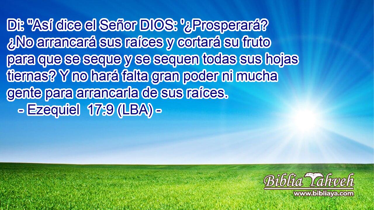 Di: 