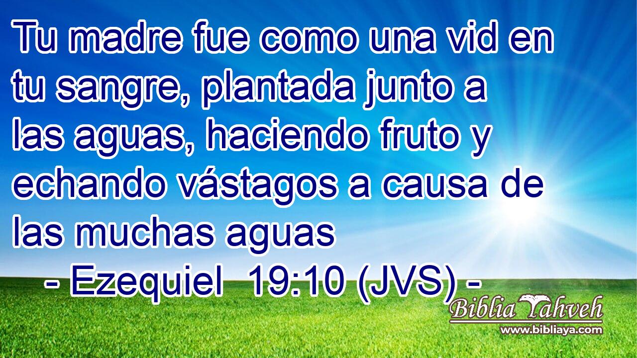 Tu madre fue como una vid en tu sangre, plantada junto a las aguas, haciendo fruto y echando vástagos a causa de las muchas aguas