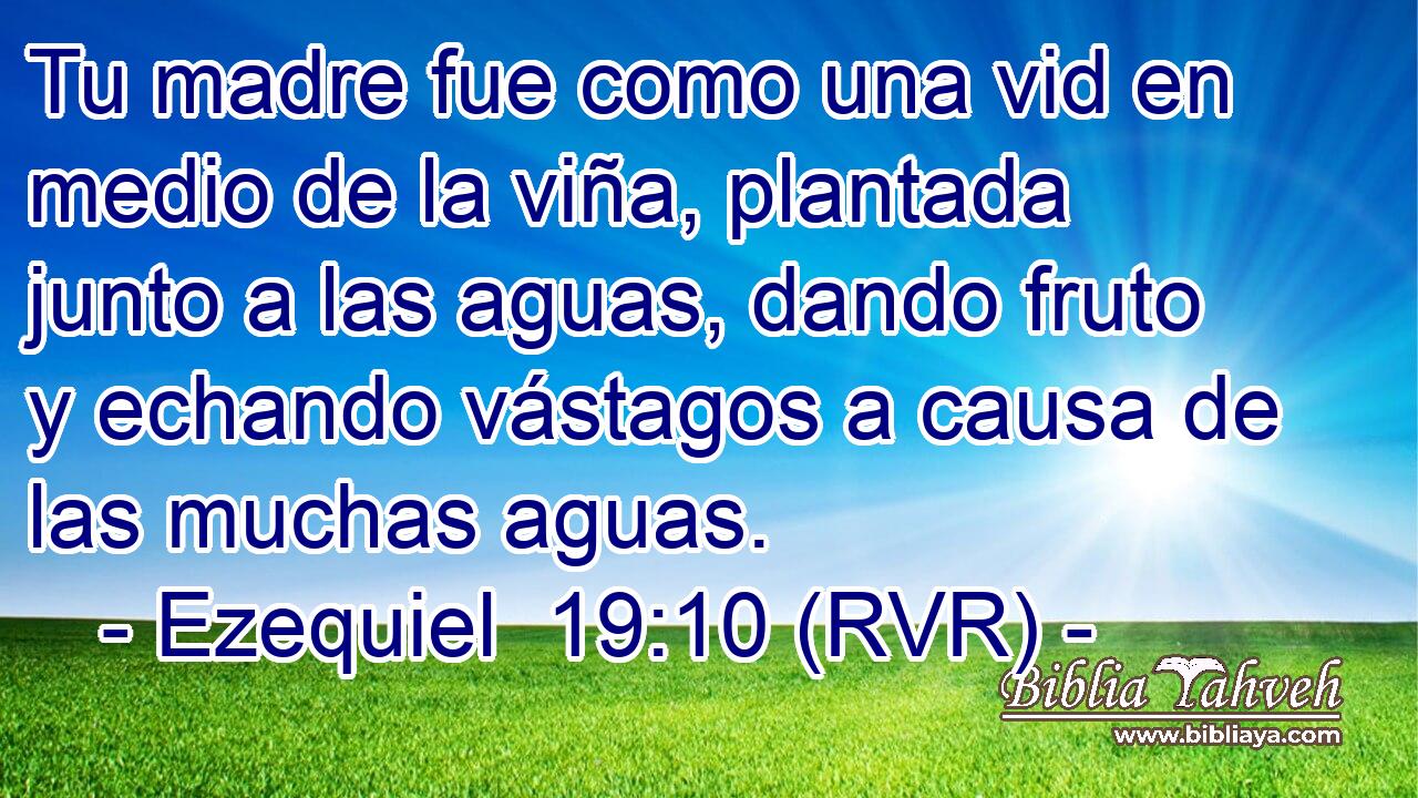 Tu madre fue como una vid en medio de la viña, plantada junto a las aguas, dando fruto y echando vástagos a causa de las muchas aguas.