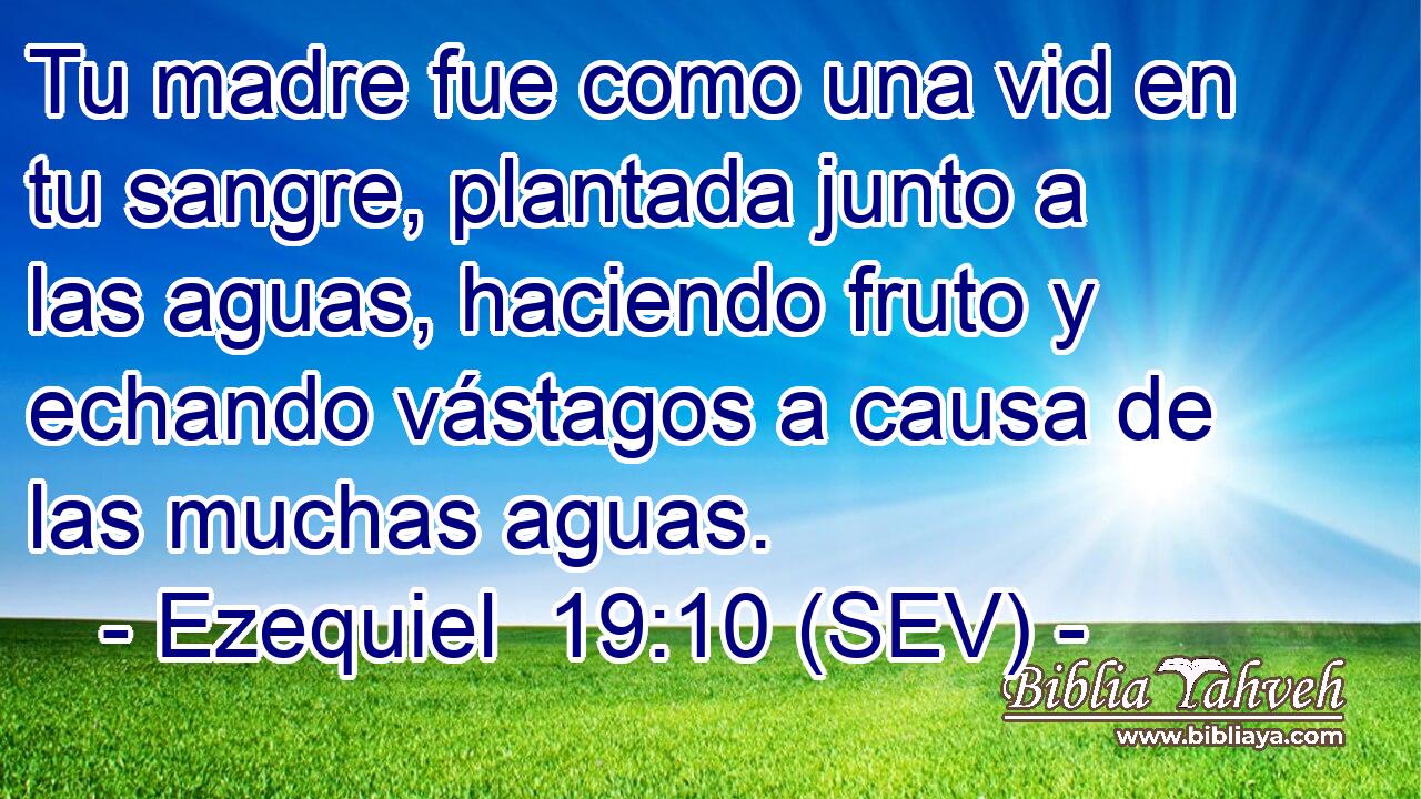Tu madre fue como una vid en tu sangre, plantada junto a las aguas, haciendo fruto y echando vástagos a causa de las muchas aguas.