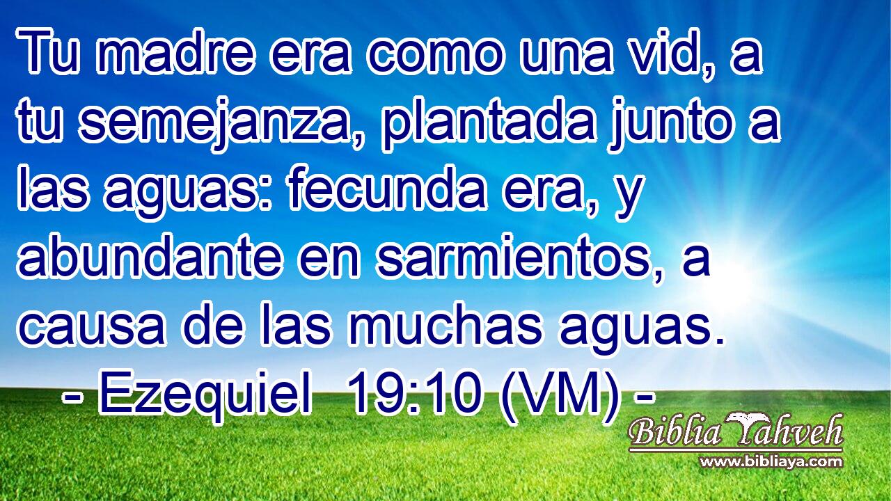  Tu madre era como una vid, a tu semejanza, plantada junto a las aguas: fecunda era, y abundante en sarmientos, a causa de las muchas aguas. 