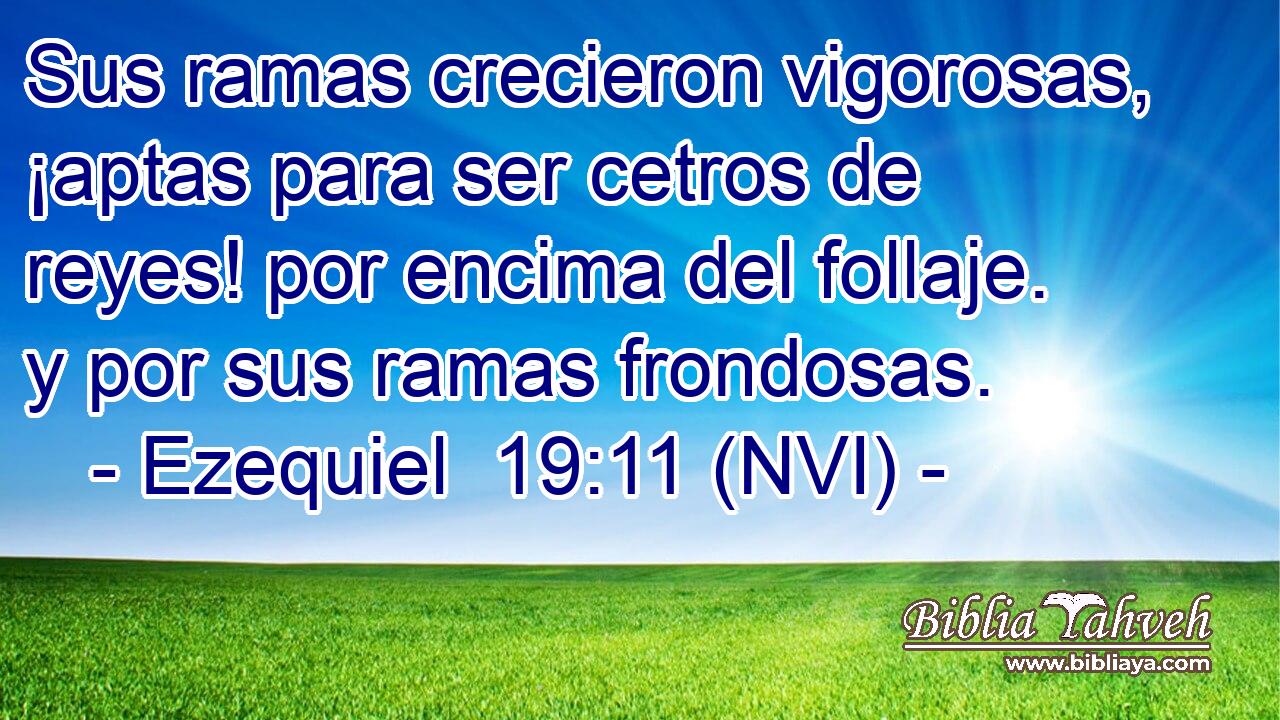  Sus ramas crecieron vigorosas, ¡aptas para ser cetros de reyes! por encima del follaje. y por sus ramas frondosas. 