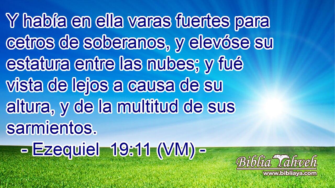  Y había en ella varas fuertes para cetros de soberanos, y elevóse su estatura entre las nubes; y fué vista de lejos a causa de su altura, y de la multitud de sus sarmientos. 