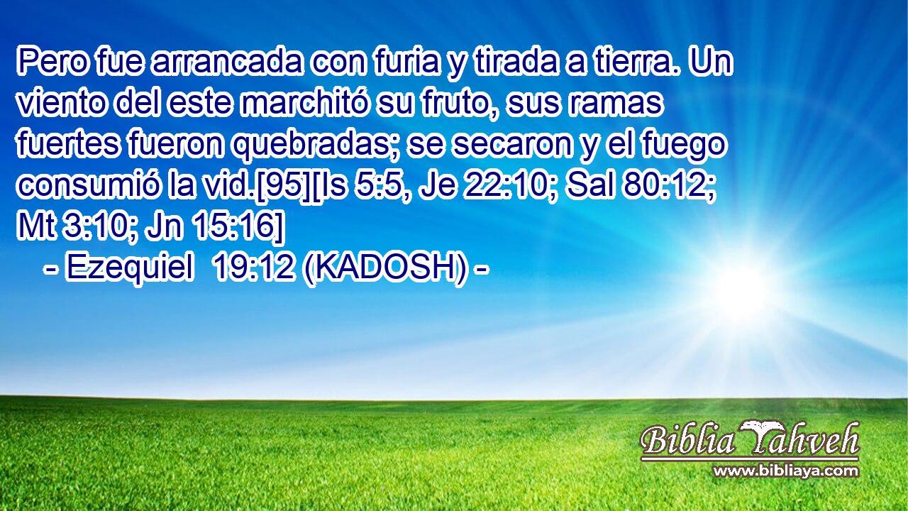  Pero fue arrancada con furia y tirada a tierra. Un viento del este marchitó su fruto, sus ramas fuertes fueron quebradas; se secaron y el fuego consumió la vid.[95][Is 5:5, Je 22:10; Sal 80:12; Mt 3:10; Jn 15:16] 