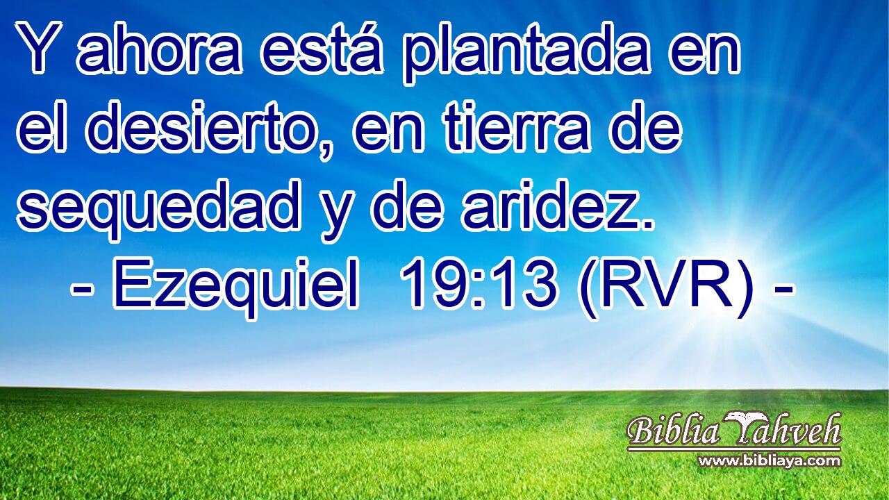 Y ahora está plantada en el desierto, en tierra de sequedad y de aridez.