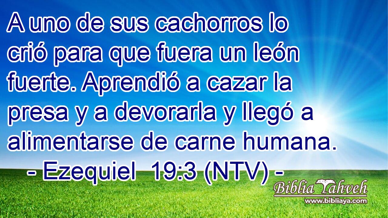 A uno de sus cachorros lo crió para que fuera un león fuerte. Aprendió a cazar la presa y a devorarla y llegó a alimentarse de carne humana.