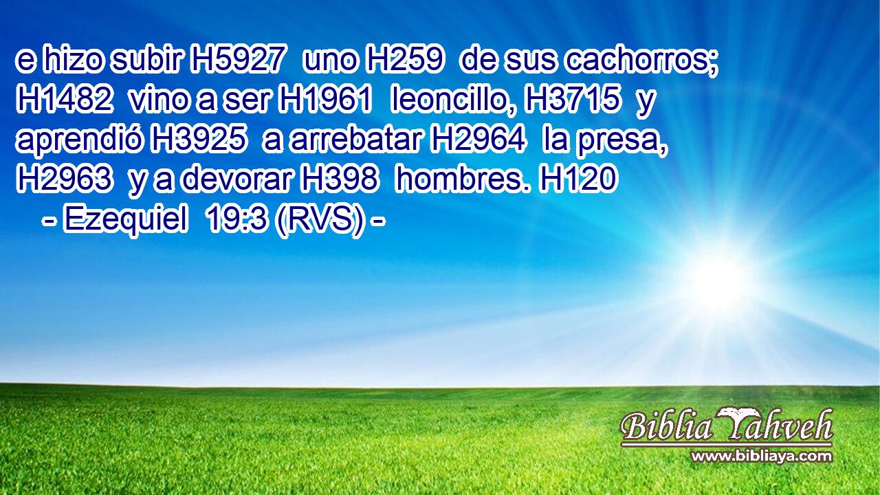e hizo subir H5927  uno H259  de sus cachorros; H1482  vino a ser H1961  leoncillo, H3715  y aprendió H3925  a arrebatar H2964  la presa, H2963  y a devorar H398  hombres. H120  