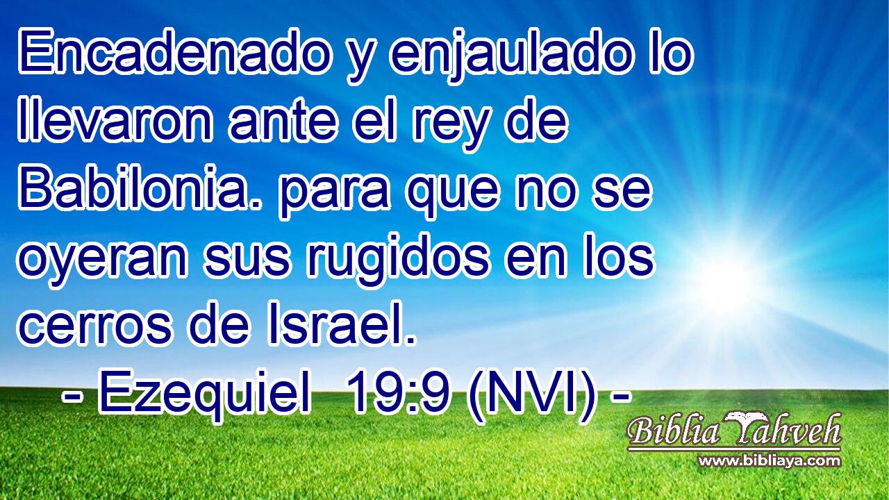  Encadenado y enjaulado lo llevaron ante el rey de Babilonia. para que no se oyeran sus rugidos en los cerros de Israel. 