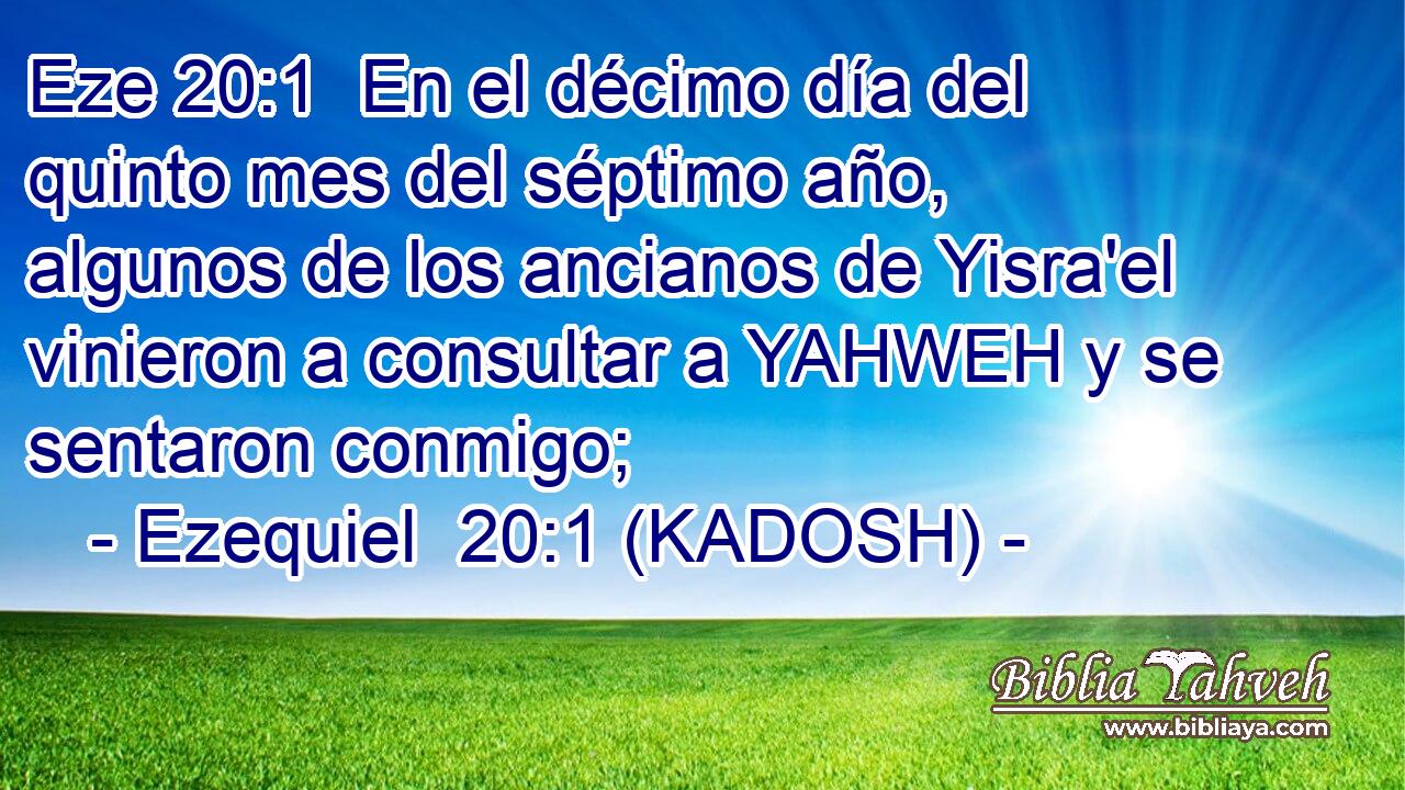  En el décimo día del quinto mes del séptimo año, algunos de los ancianos de Yisra'el vinieron a consultar a YAHWEH y se sentaron conmigo; 