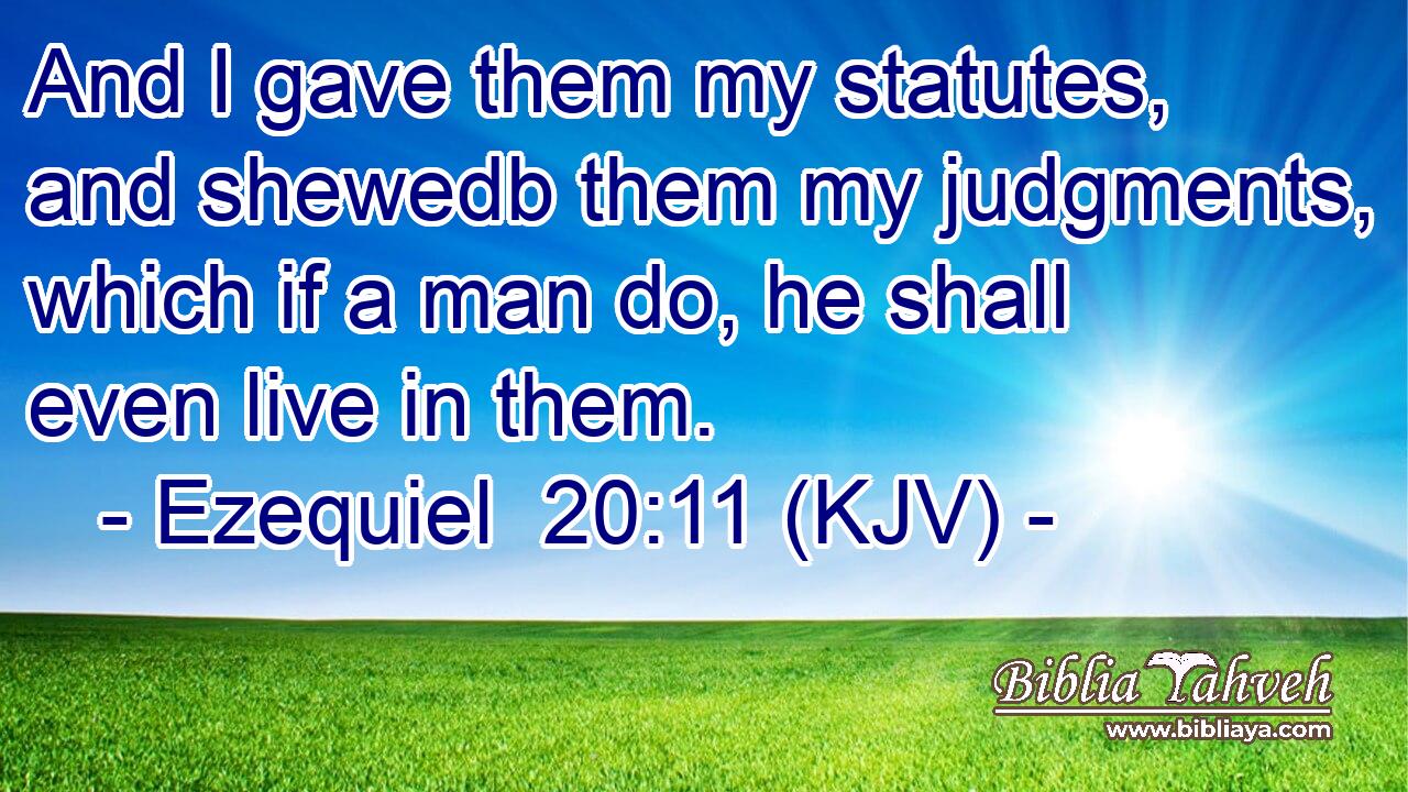 And I gave them my statutes, and shewedb them my judgments, which if a man do, he shall even live in them.