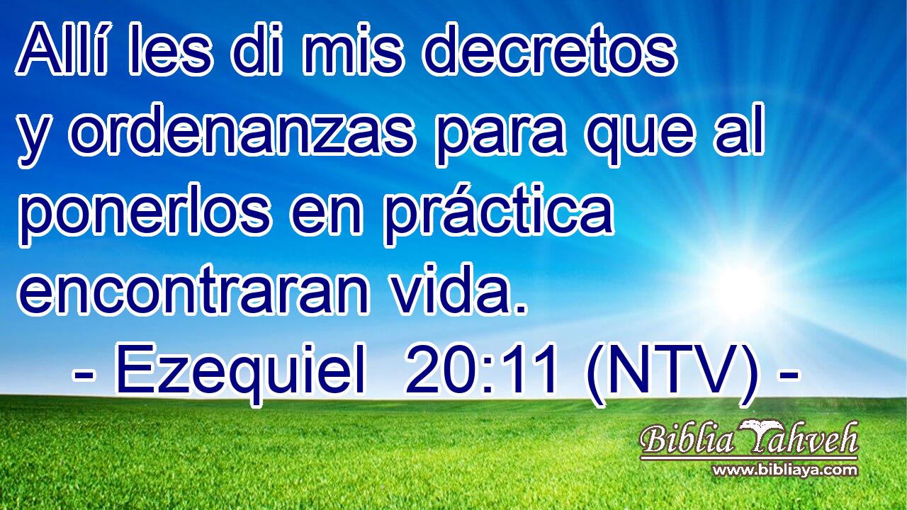 Allí les di mis decretos y ordenanzas para que al ponerlos en práctica encontraran vida.