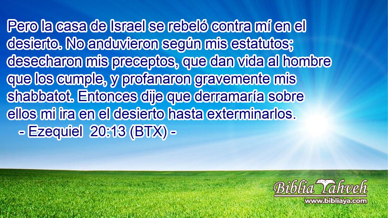 Pero la casa de Israel se rebeló contra mí en el desierto. No anduvieron según mis estatutos; desecharon mis preceptos, que dan vida al hombre que los cumple, y profanaron gravemente mis shabbatot. Entonces dije que derramaría sobre ellos mi ira en el desierto hasta exterminarlos.