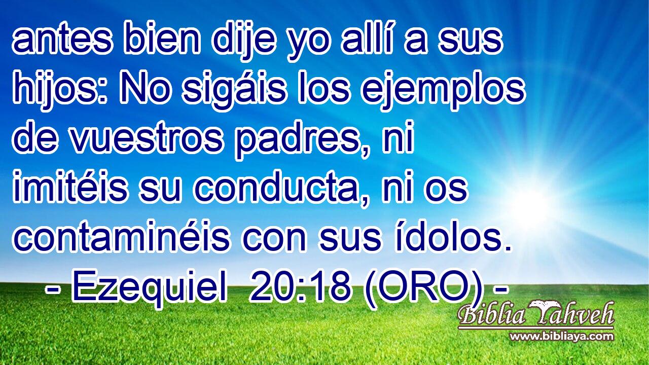  antes bien dije yo allí a sus hijos: No sigáis los ejemplos de vuestros padres, ni imitéis su conducta, ni os contaminéis con sus ídolos. 