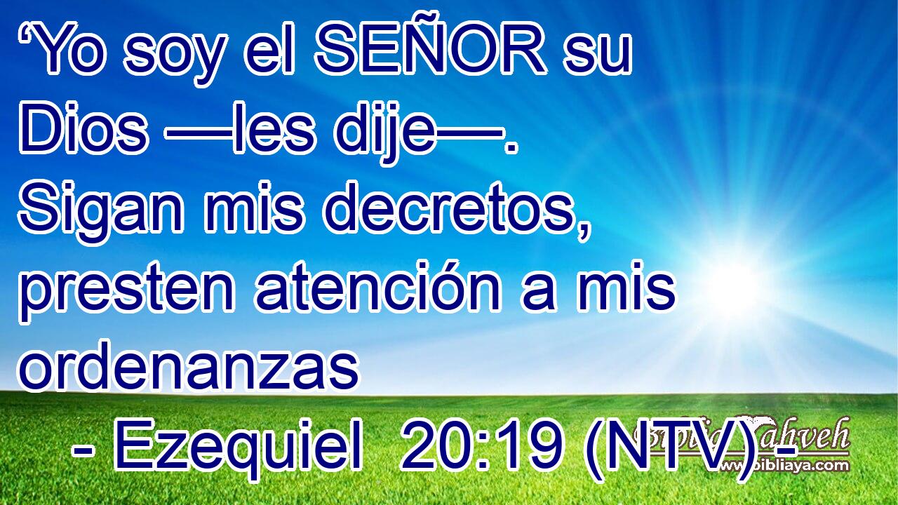 ‘Yo soy el SEÑOR su Dios —les dije—. Sigan mis decretos, presten atención a mis ordenanzas