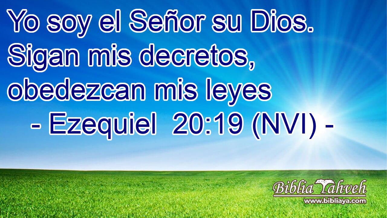  Yo soy el Señor su Dios. Sigan mis decretos, obedezcan mis leyes 
