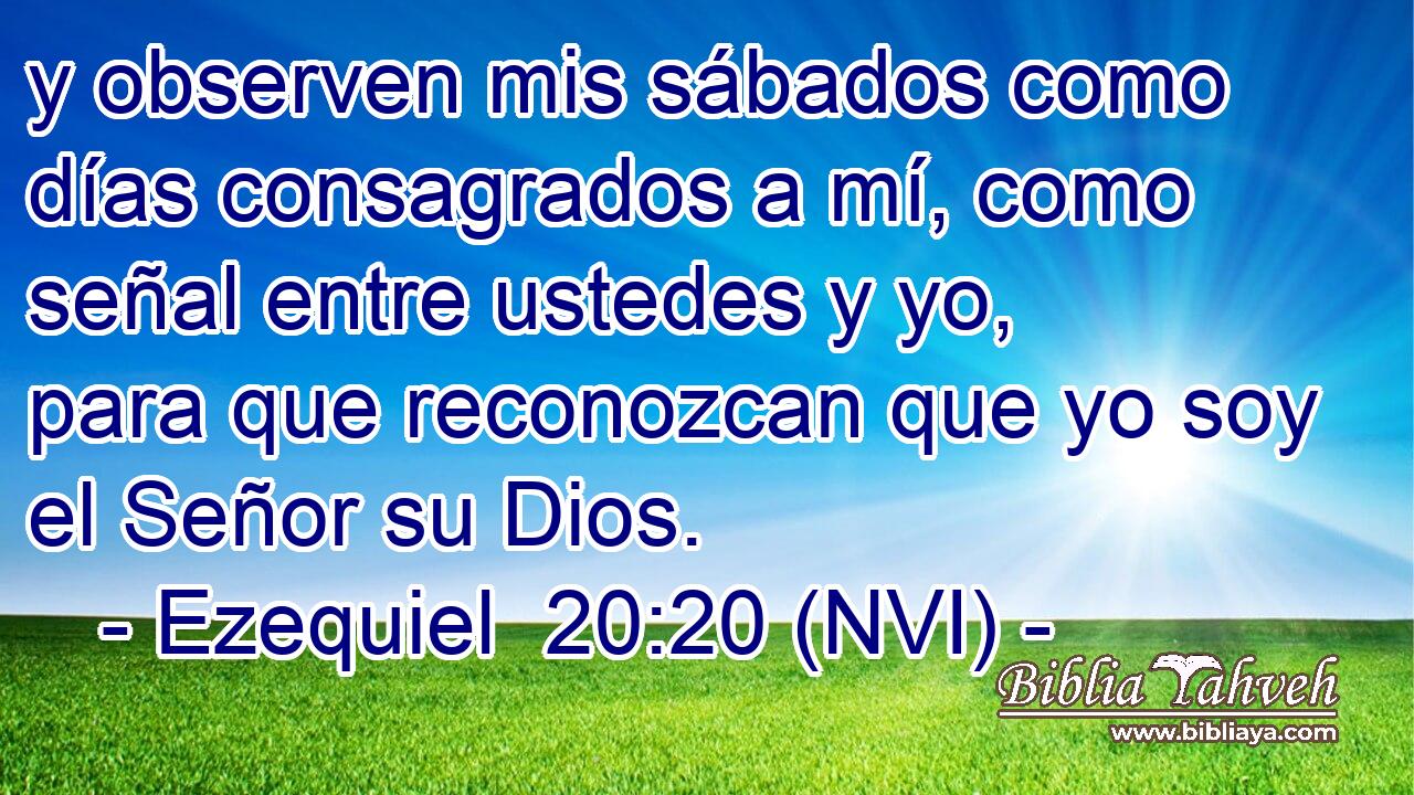  y observen mis sábados como días consagrados a mí, como señal entre ustedes y yo, para que reconozcan que yo soy el Señor su Dios. 