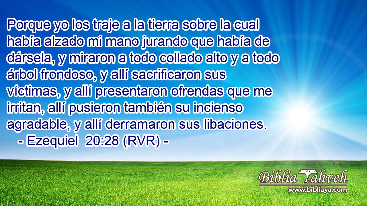 Porque yo los traje a la tierra sobre la cual había alzado mi mano jurando que había de dársela, y miraron a todo collado alto y a todo árbol frondoso, y allí sacrificaron sus víctimas, y allí presentaron ofrendas que me irritan, allí pusieron también su incienso agradable, y allí derramaron sus libaciones.