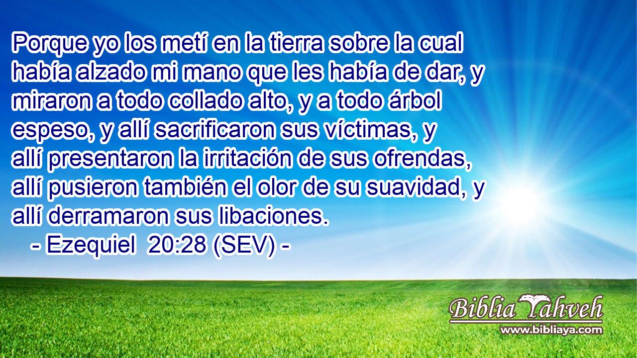 Porque yo los metí en la tierra sobre la cual había alzado mi mano que les había de dar, y miraron a todo collado alto, y a todo árbol espeso, y allí sacrificaron sus víctimas, y allí presentaron la irritación de sus ofrendas, allí pusieron también el olor de su suavidad, y allí derramaron sus libaciones.