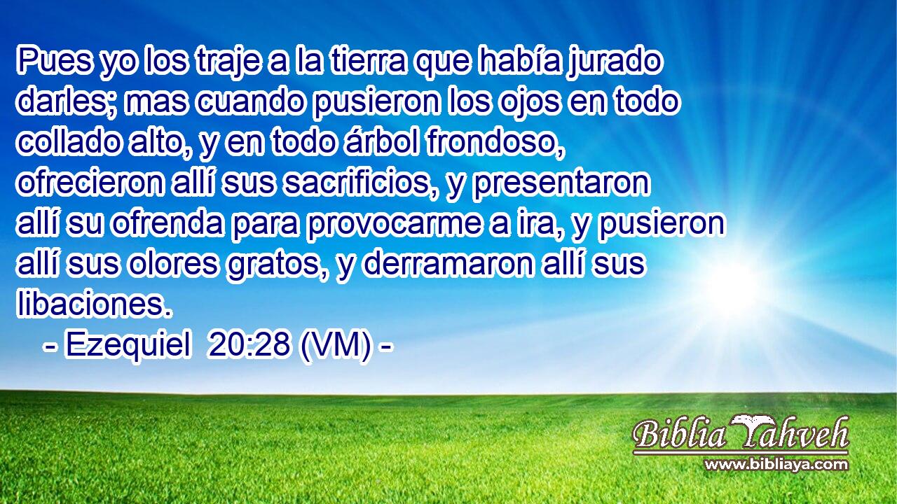  Pues yo los traje a la tierra que había jurado darles; mas cuando pusieron los ojos en todo collado alto, y en todo árbol frondoso, ofrecieron allí sus sacrificios, y presentaron allí su ofrenda para provocarme a ira, y pusieron allí sus olores gratos, y derramaron allí sus libaciones. 