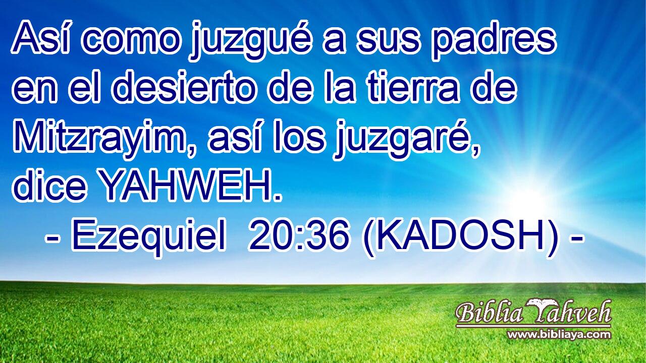 Así como juzgué a sus padres en el desierto de la tierra de Mitzrayim, así los juzgaré, dice YAHWEH. 