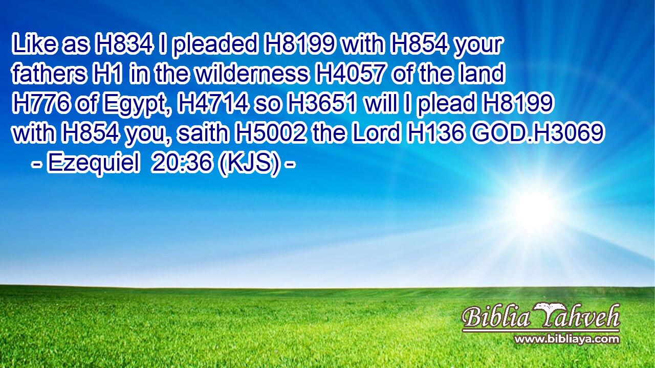 Like as H834 I pleaded H8199 with H854 your fathers H1 in the wilderness H4057 of the land H776 of Egypt, H4714 so H3651 will I plead H8199 with H854 you, saith H5002 the Lord H136 GOD.H3069