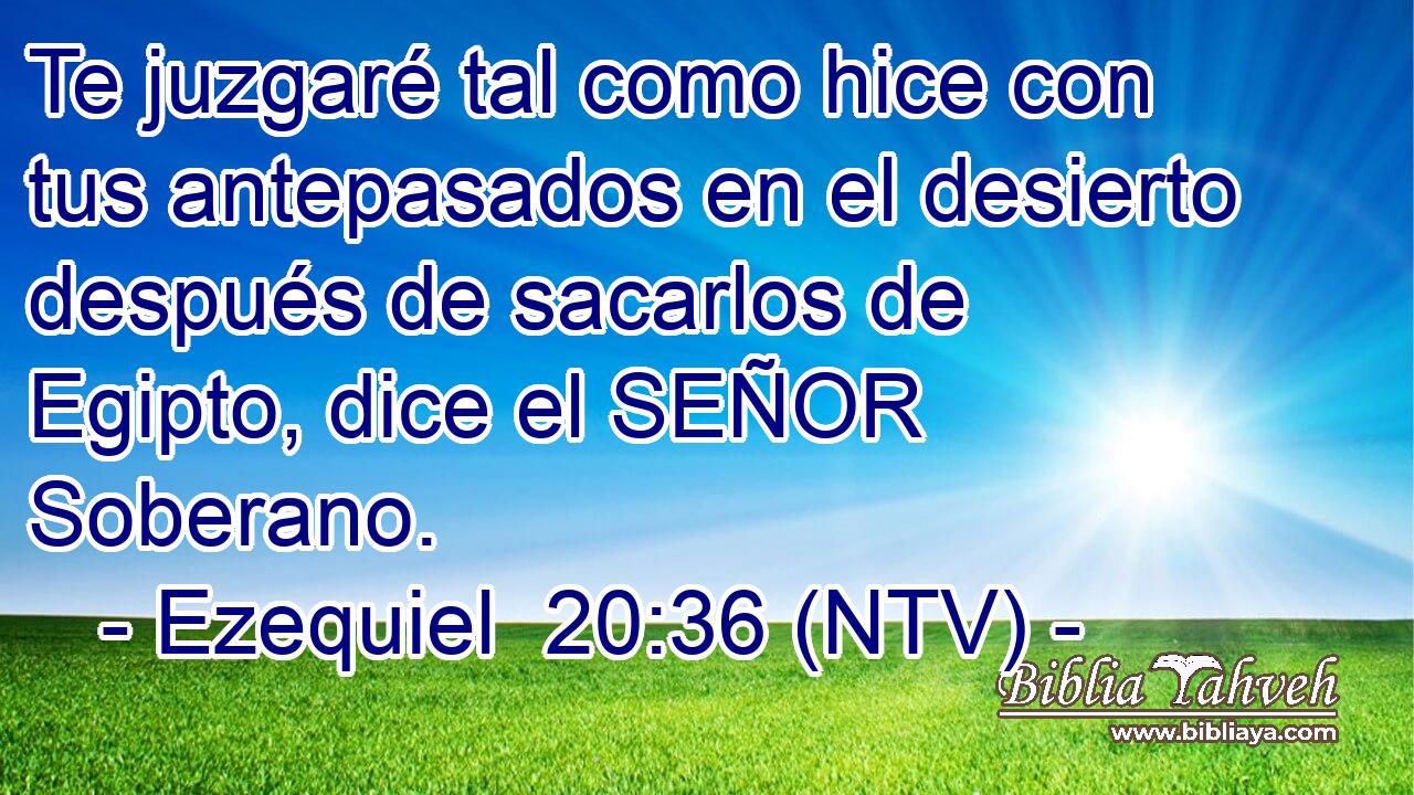 Te juzgaré tal como hice con tus antepasados en el desierto después de sacarlos de Egipto, dice el SEÑOR Soberano.