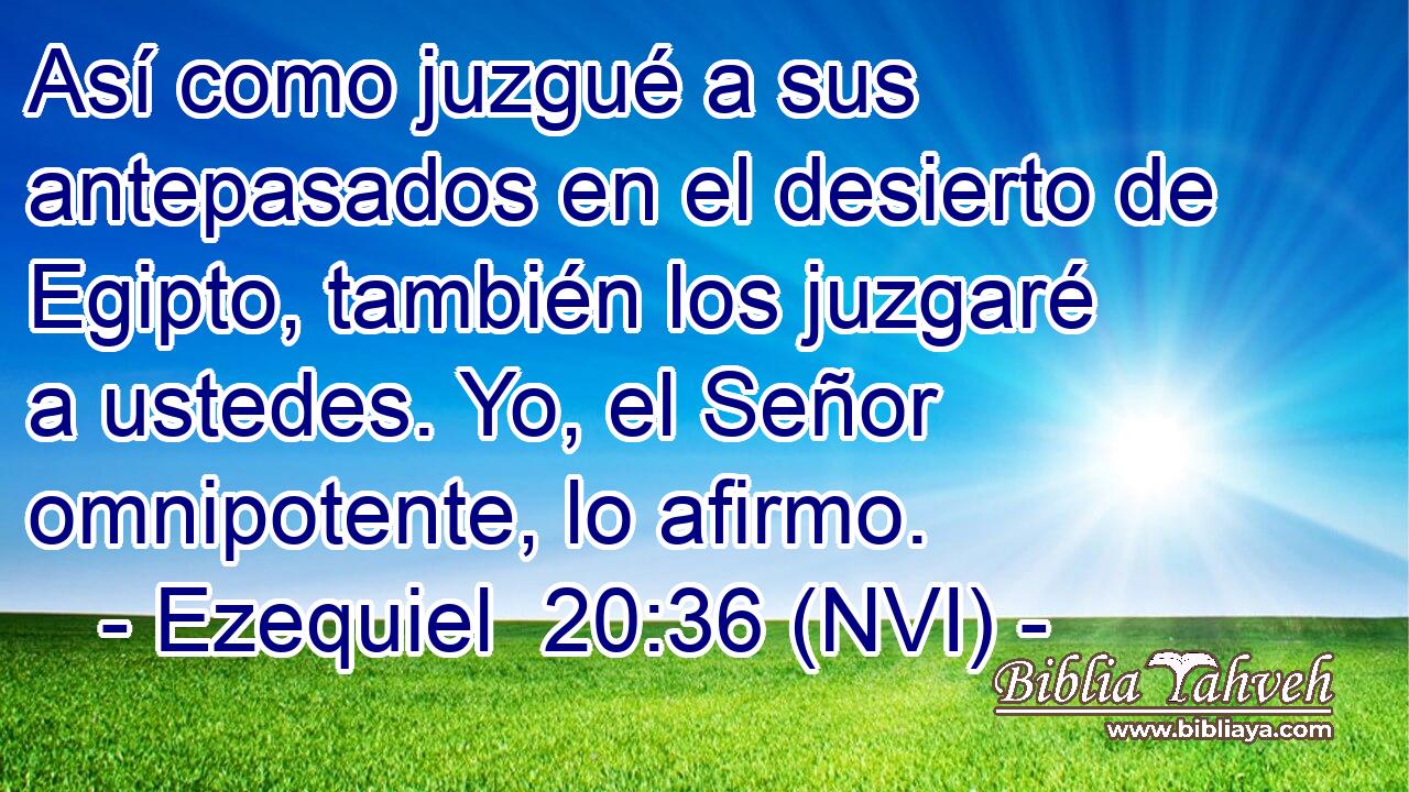  Así como juzgué a sus antepasados en el desierto de Egipto, también los juzgaré a ustedes. Yo, el Señor omnipotente, lo afirmo. 