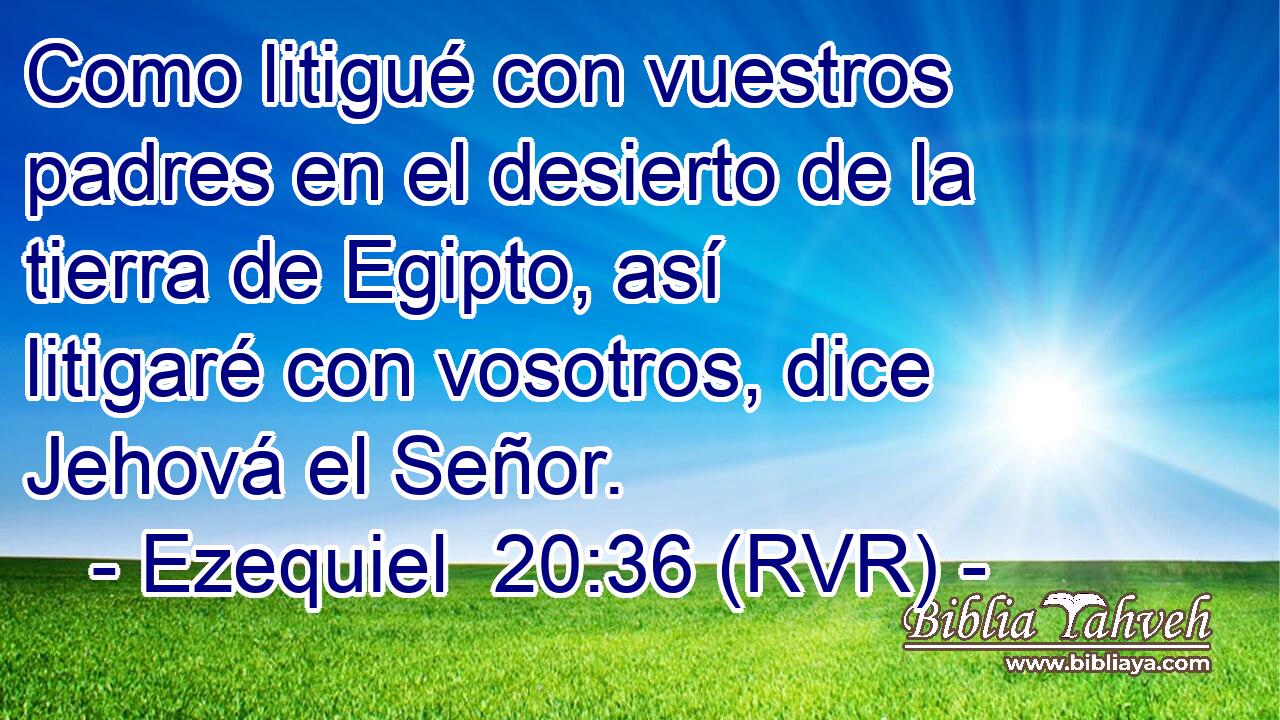 Como litigué con vuestros padres en el desierto de la tierra de Egipto, así litigaré con vosotros, dice Jehová el Señor.