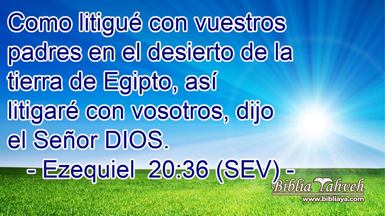 Como litigué con vuestros padres en el desierto de la tierra de Egipto, así litigaré con vosotros, dijo el Señor DIOS.