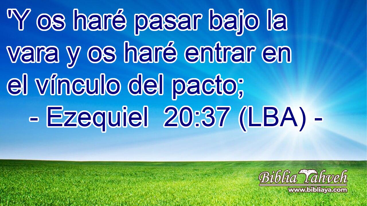 'Y os haré pasar bajo la vara y os haré entrar en el vínculo del pacto;