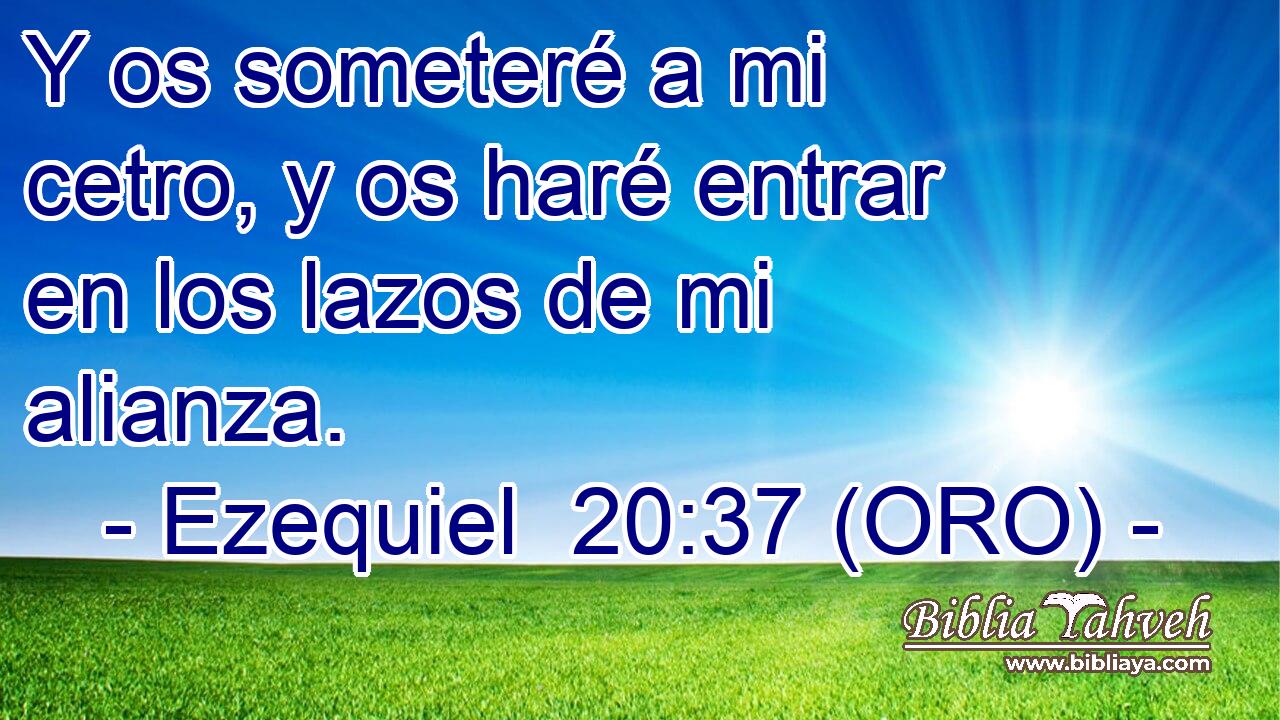  Y os someteré a mi cetro, y os haré entrar en los lazos de mi alianza. 