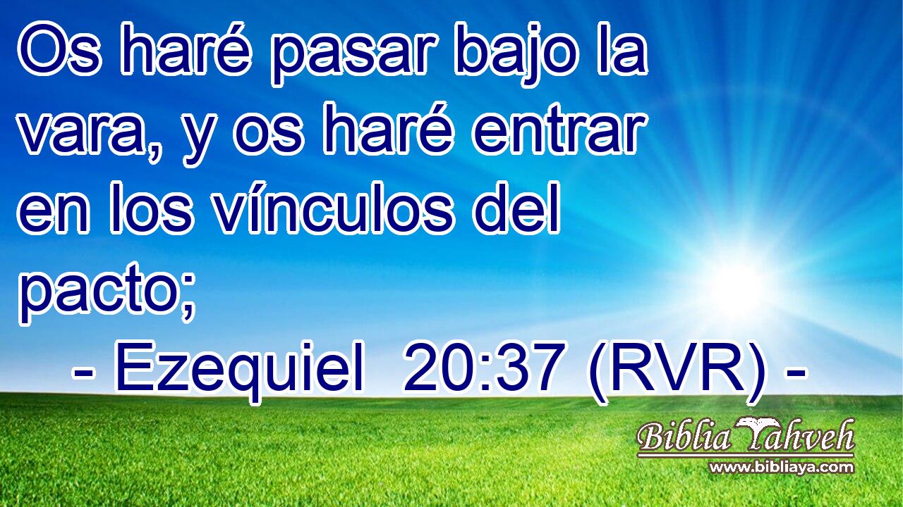 Os haré pasar bajo la vara, y os haré entrar en los vínculos del pacto;