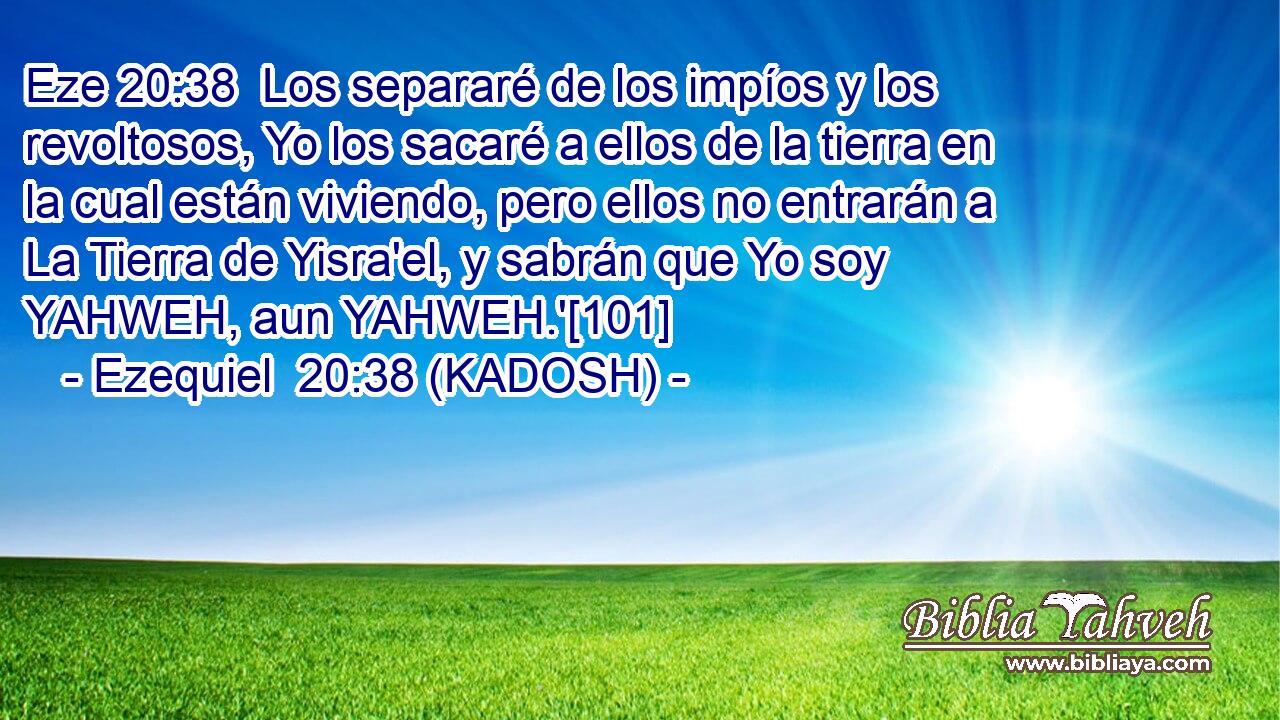  Los separaré de los impíos y los revoltosos, Yo los sacaré a ellos de la tierra en la cual están viviendo, pero ellos no entrarán a La Tierra de Yisra'el, y sabrán que Yo soy YAHWEH, aun YAHWEH.'[101] 